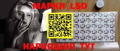гидропоника Сланцы
