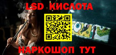 гидропоника Сланцы
