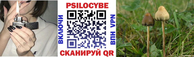Псилоцибиновые грибы мухоморы  Алапаевск 
