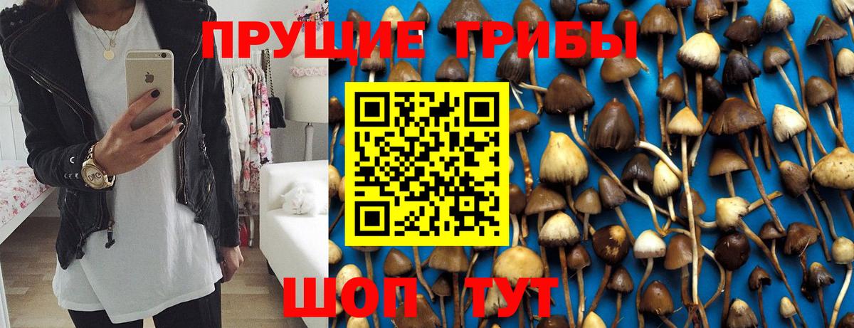 Галлюциногенные грибы мухоморы  Вход с VPN  Псилоцибиновые грибы Psilocybe  Алапаевск 